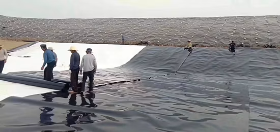 0,5 mm, 0,75 mm, 1,0 mm, 1,5 mm, 2,0 mm, weiß, schwarz, grün, blau, glatte, strukturierte HDPE-wasserdichte Geomembran für Dammauskleidung in Kenia, Fischfarm, Garnelenteichauskleidung