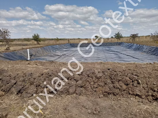 0,5 mm 0,75 mm 1,0 mm 1,5 mm HDPE-LLDPE-Liner-Blechmembran Gse-texturierte HDPE-Geomembran für Deponien und Bergbaulagunen